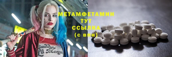прущие грибы Богородск