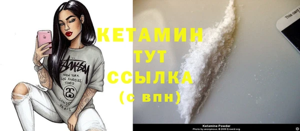индика Пестово