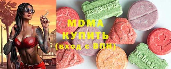 гидра Бородино