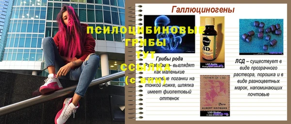 СК Богородицк