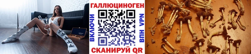сайты даркнета официальный сайт  Дмитровск  Галлюциногенные грибы мицелий 